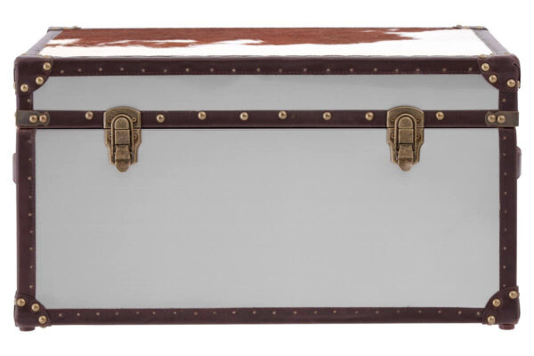 5501168_1__49281.1754487585.jpg Kensington Townhouse Brown And White Hair on Leather Storage Trunk
