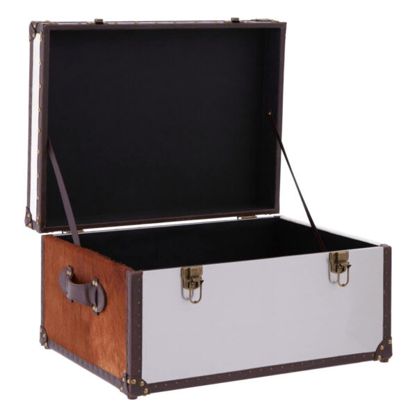 5501168_fcn_02_1__49584.1754487586.jpg Kensington Townhouse Brown And White Hair on Leather Storage Trunk