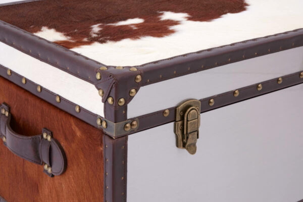 5501168_mac_03_1__85972.1754487590.jpg Kensington Townhouse Brown And White Hair on Leather Storage Trunk