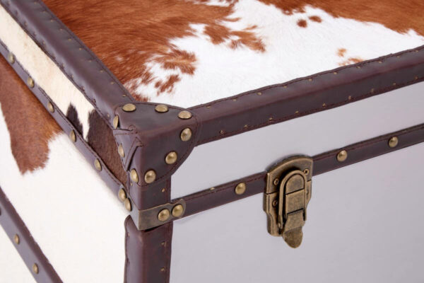 5501171_mac_06_1__68150.1754487619.jpg Kensington Townhouse Brown And White Cowhide Cabinet