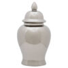 5505180__79034.1754507241-1.jpg Kensington Townhouse Large Ceramic Silver Jar
