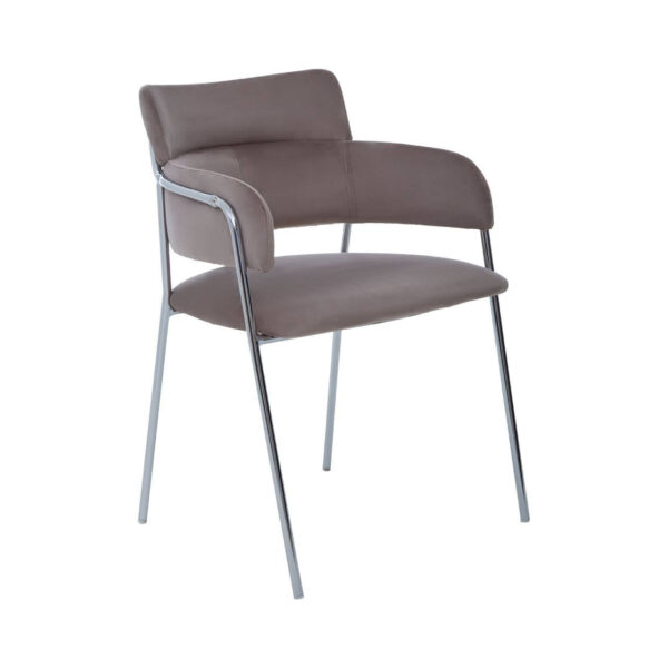 5527299__29365.1777965720.jpg Tamzin Mink Velvet Dining Chair