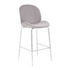 5527364__96293.1754513166.jpg Tamzin Mink Velvet Chrome Finish Bar Chair
