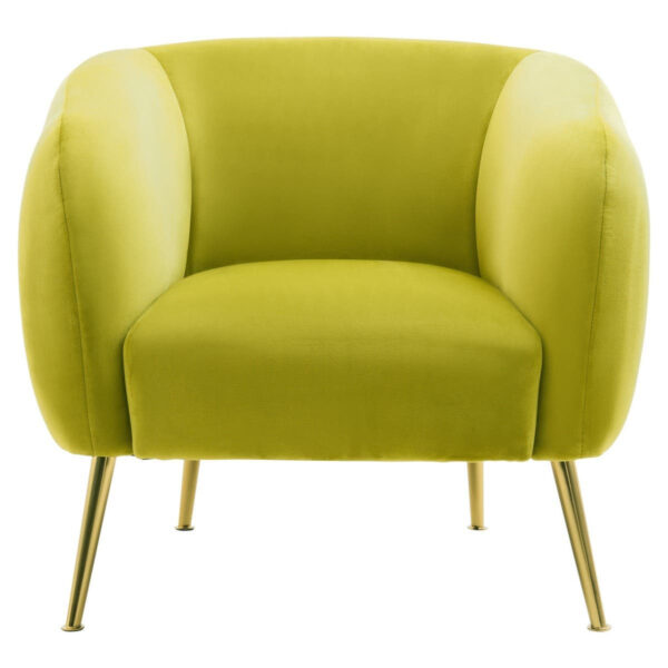 5528522_1__42341.1768369209.jpg Yasmeen Olive Velvet Armchair