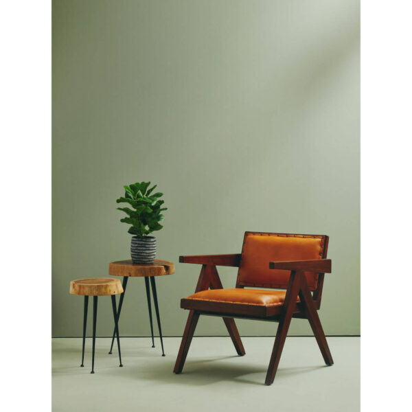5528958_liv_01__75018.1754524670.jpg Inca Tan Leather Dining Chair