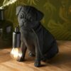 DF-GAL-5016087185610-3 Pug Puppy Table Lamp