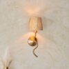 Wriggle Wall Light