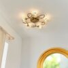 DF-GAL-5016087906932-2 Aherne Ceiling Lamp