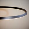 Staten Pendant Light
