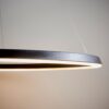 Staten Pendant Light