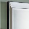 Luna Mirror
