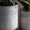 Albion Metal Planter