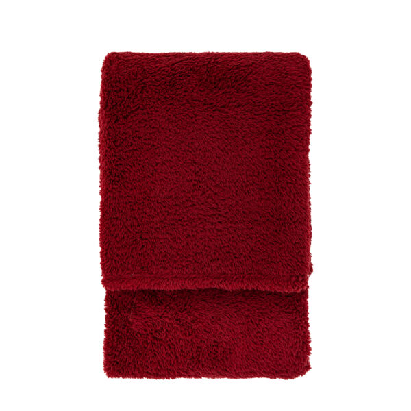Teddy Fleece Throw