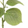Vintage Cone Hydrangea Floral Stem 12pk