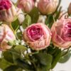 Faux Stem Vintage Rose 6pk