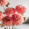 DF-GAL-5056693592419-3 Faux Stem Dahlia 6pk