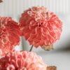 DF-GAL-5056693592419-4 Faux Stem Dahlia 6pk