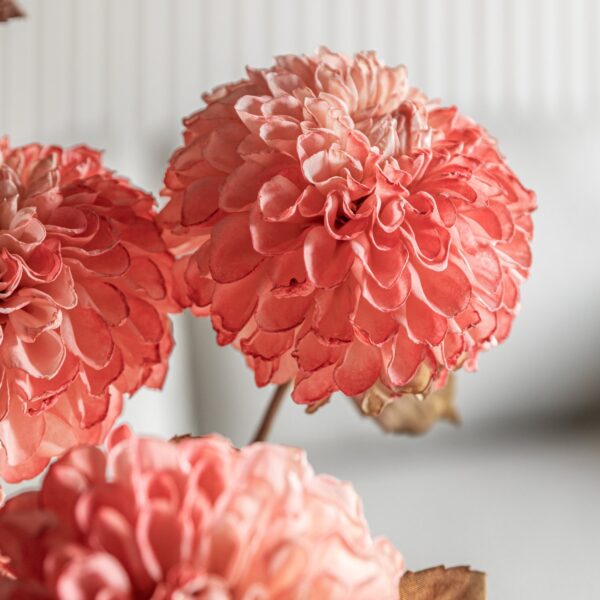 DF-GAL-5056693592419-4 Faux Stem Dahlia 6pk