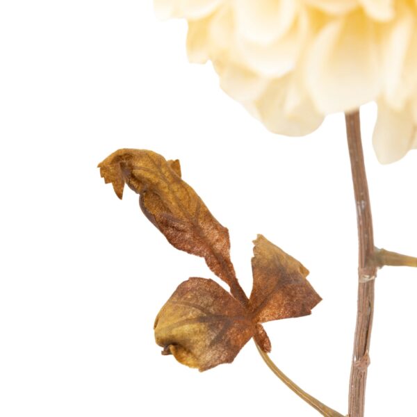 DF-GAL-5056693592433-1 Faux Stem Dahlia 6pk