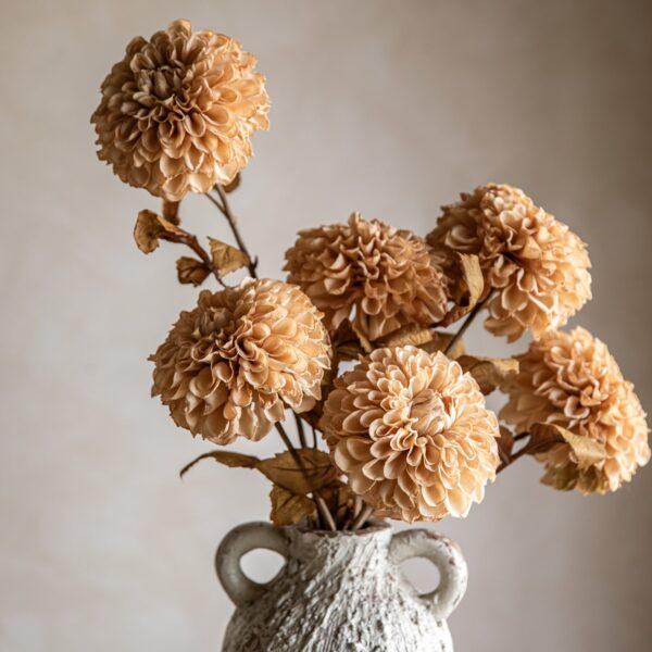 DF-GAL-5056693592433-3 Faux Stem Dahlia 6pk