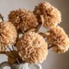 DF-GAL-5056693592433-4 Faux Stem Dahlia 6pk