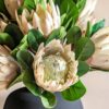 DF-GAL-5056693592457-2 Faux Stem Statement Tropical 12pk