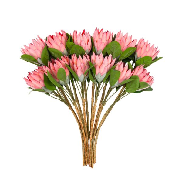 DF-GAL-5056693592488-2 Faux Stem Statement Tropical 12pk