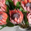 DF-GAL-5056693592488-5 Faux Stem Statement Tropical 12pk