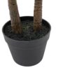 DF-GAL-5056693592570-1 Potted Statement Palm