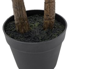 Potted Statement Palm