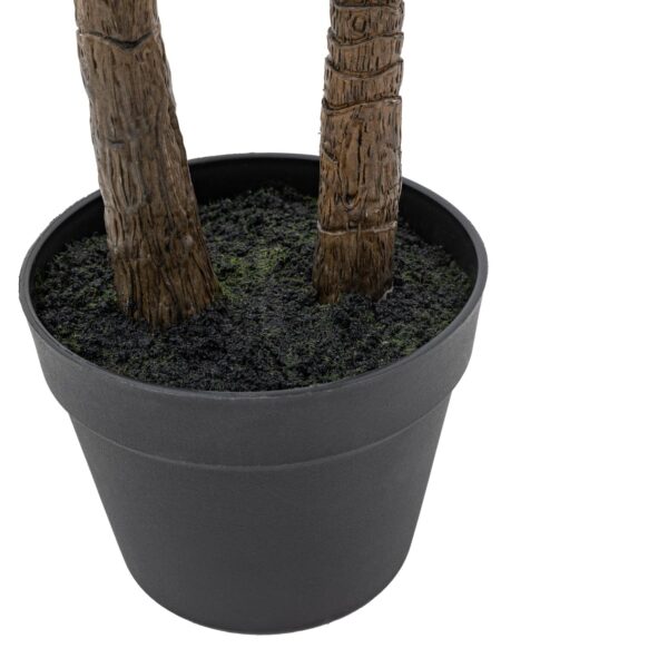 DF-GAL-5056693592570-1 Potted Statement Palm