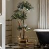 DF-GAL-5056693592570-2 Potted Statement Palm