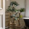 DF-GAL-5056693592570-4 Potted Statement Palm