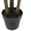 DF-GAL-5056693592587-1 Potted Statement Palm
