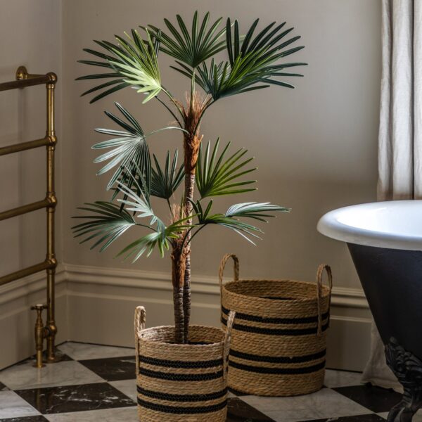 DF-GAL-5056693592587-2 Potted Statement Palm
