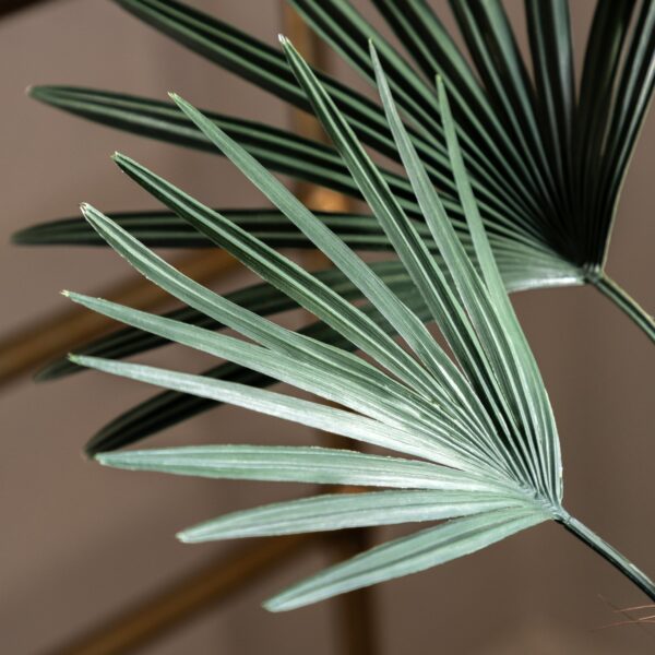 DF-GAL-5056693592587-3 Potted Statement Palm