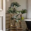 DF-GAL-5056693592587-4 Potted Statement Palm