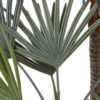 DF-GAL-5056693592587-5 Potted Statement Palm