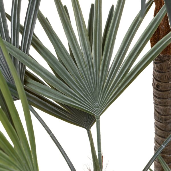 DF-GAL-5056693592587-5 Potted Statement Palm