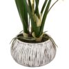 Orchid in Low Ceramic Pot