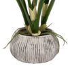 Orchid in Low Ceramic Pot