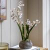 Orchid in Low Ceramic Pot