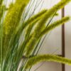 DF-GAL-5056693592693-4 Faux Grass with Seed Heads