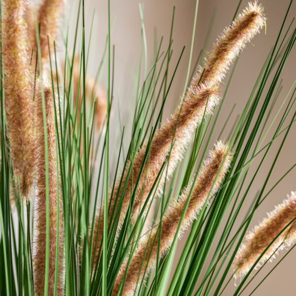 DF-GAL-5056693592709-3 Faux Grass with Seed Heads