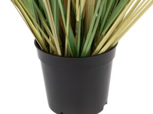 Potted Grass with Cattail Seed Heads