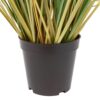 Potted Grass with Cattail Seed Heads