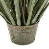 DF-GAL-5056693592730-1 Potted Grass with Pampas Seed Heads