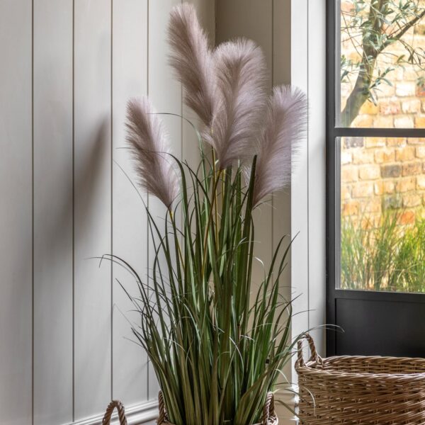 DF-GAL-5056693592730-2 Potted Grass with Pampas Seed Heads