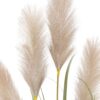 DF-GAL-5056693592730-5 Potted Grass with Pampas Seed Heads