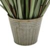 DF-GAL-5056693592747-1 Potted Grass with Pampas Seed Heads